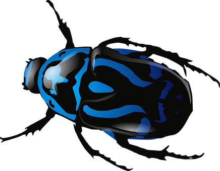 Blue Patterned Beetle Illustration PNG with transparent background