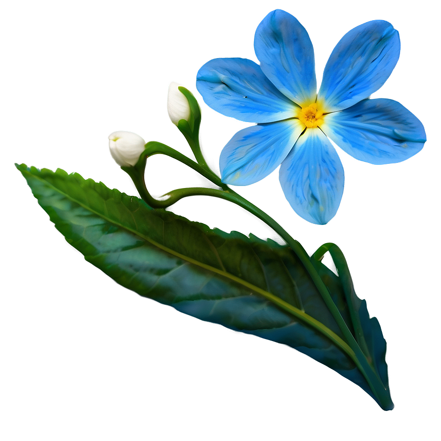 Blue Petal Flower PNG gig PNG with transparent background