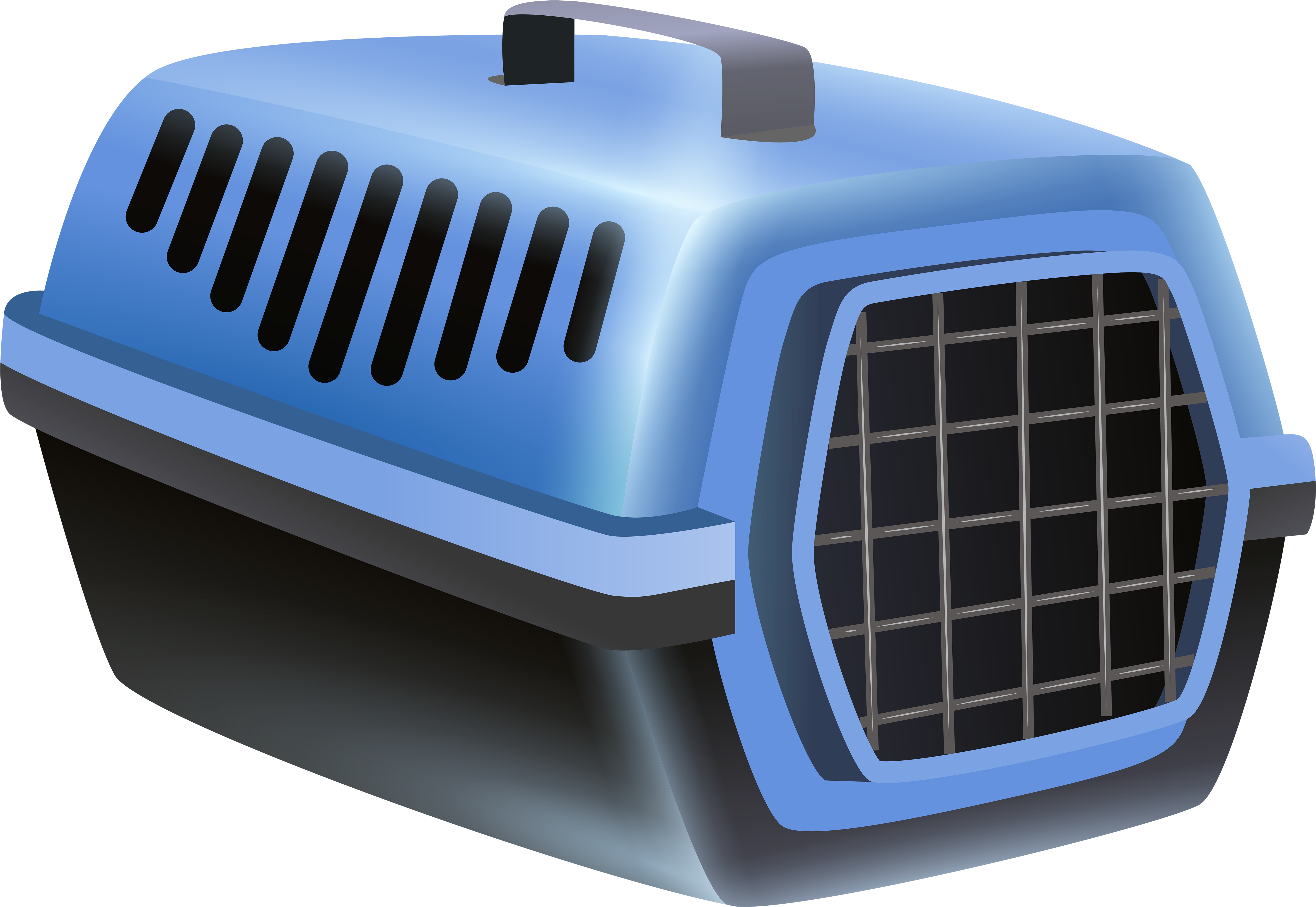 Blue Portable Pet Carrier