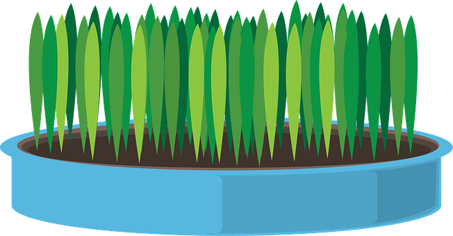 Blue Pot Green Grass Vector