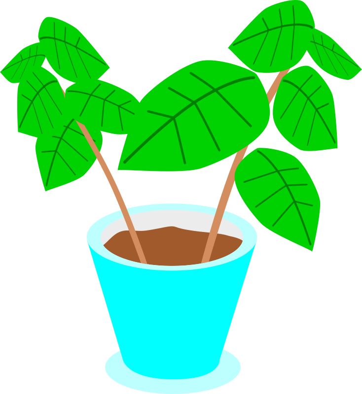 Blue Pot Green Plant Illustration