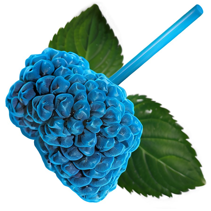 Blue Raspberry Haze Png 46