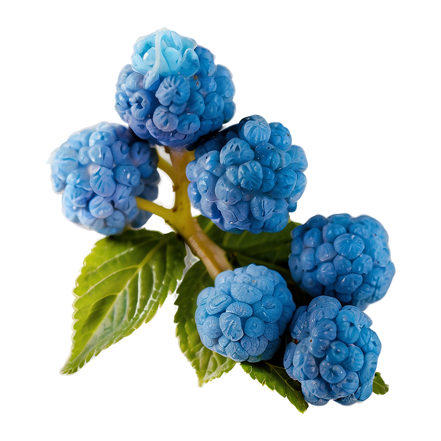 Blue Raspberry Haze Png 68