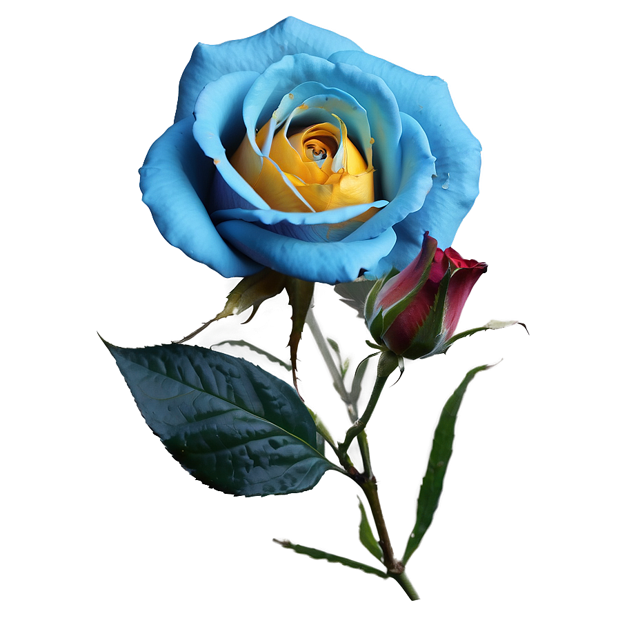 Blue Rose Design Png Nfp52