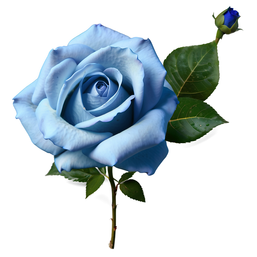 Blue Rose Emoji Png Iue