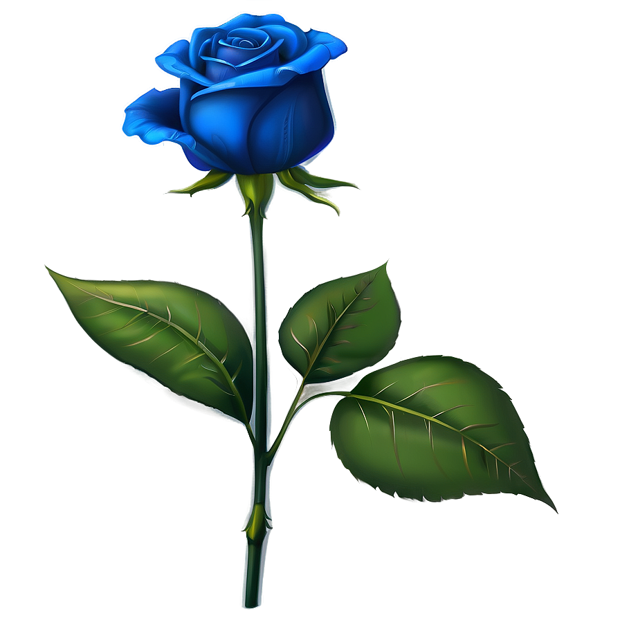 Blue Rose Illustration Png 25