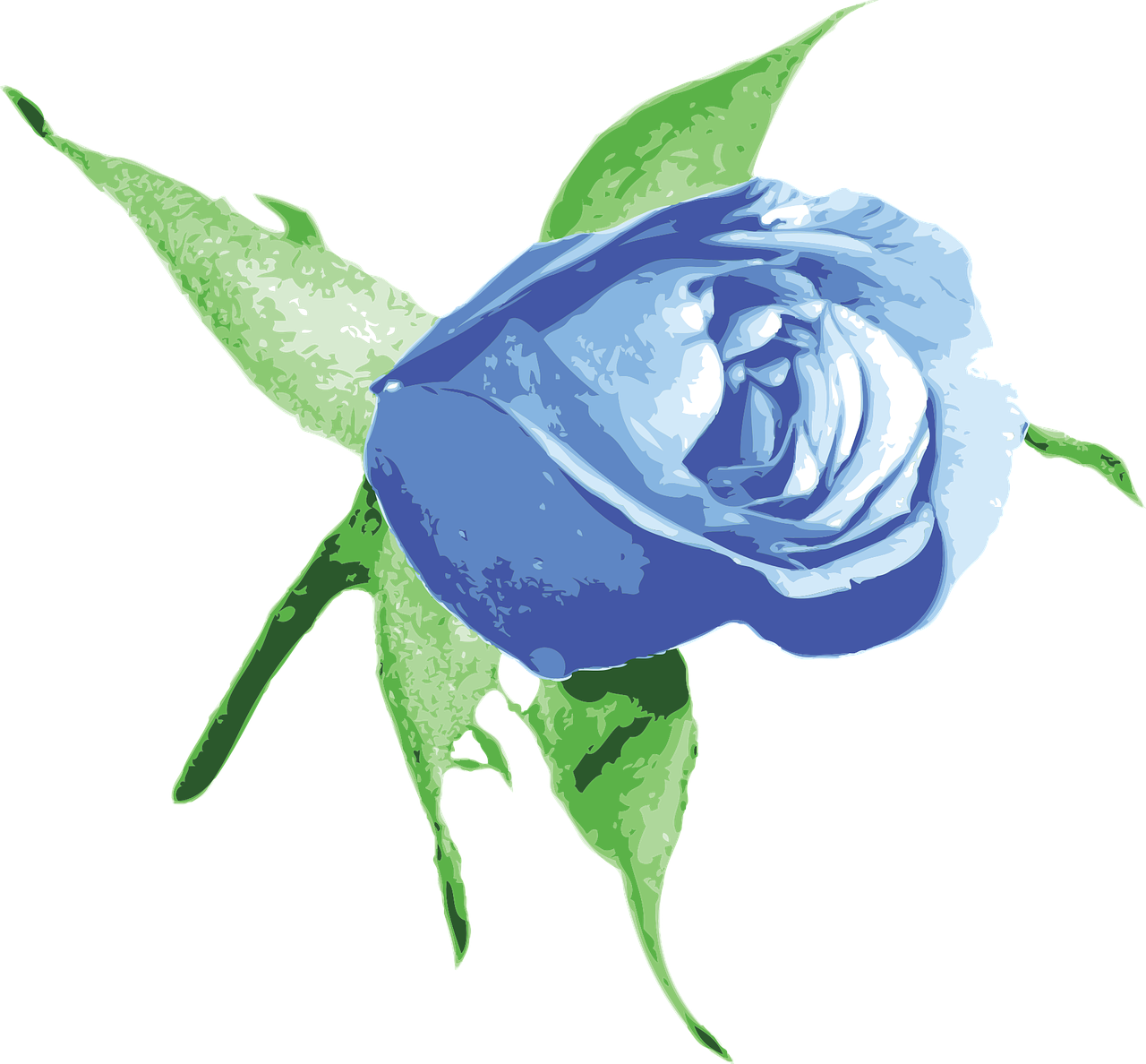 Plant,flower,rose Order - Transparent Png Blue Rose Png Hd, Png Download PNG with transparent background
