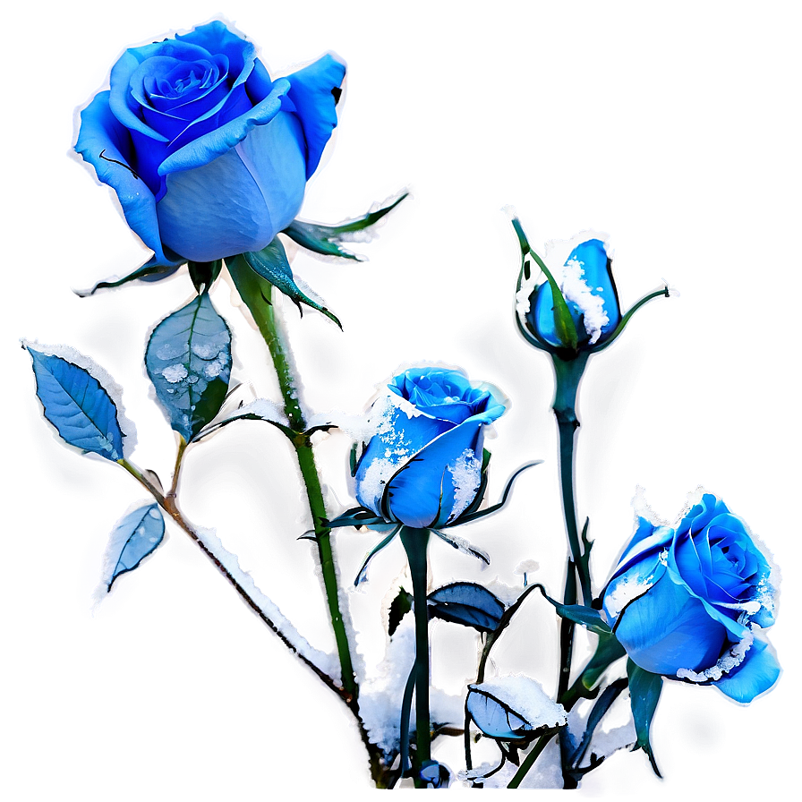 Blue Rose In Snow Png 1