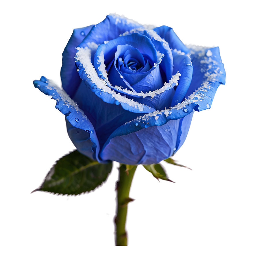 Blue Rose In Snow Png Rti59