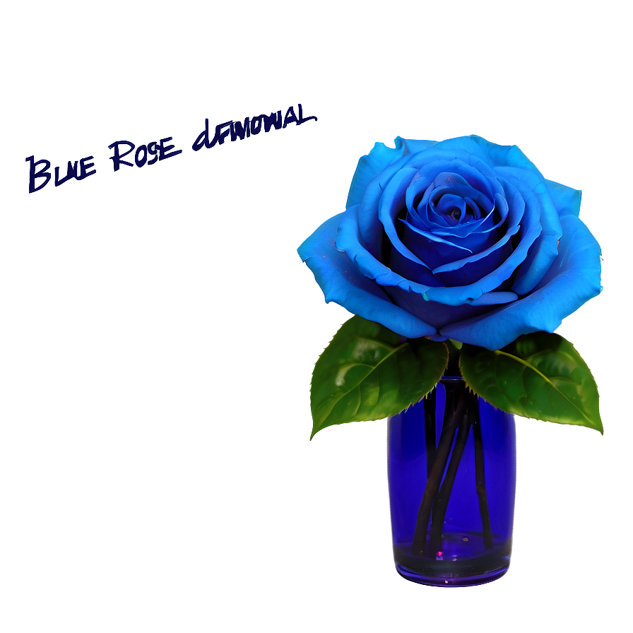 Blue Rose In Vase Png 06202024