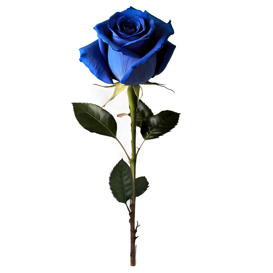 Blue Rose With Stem Png Hob39