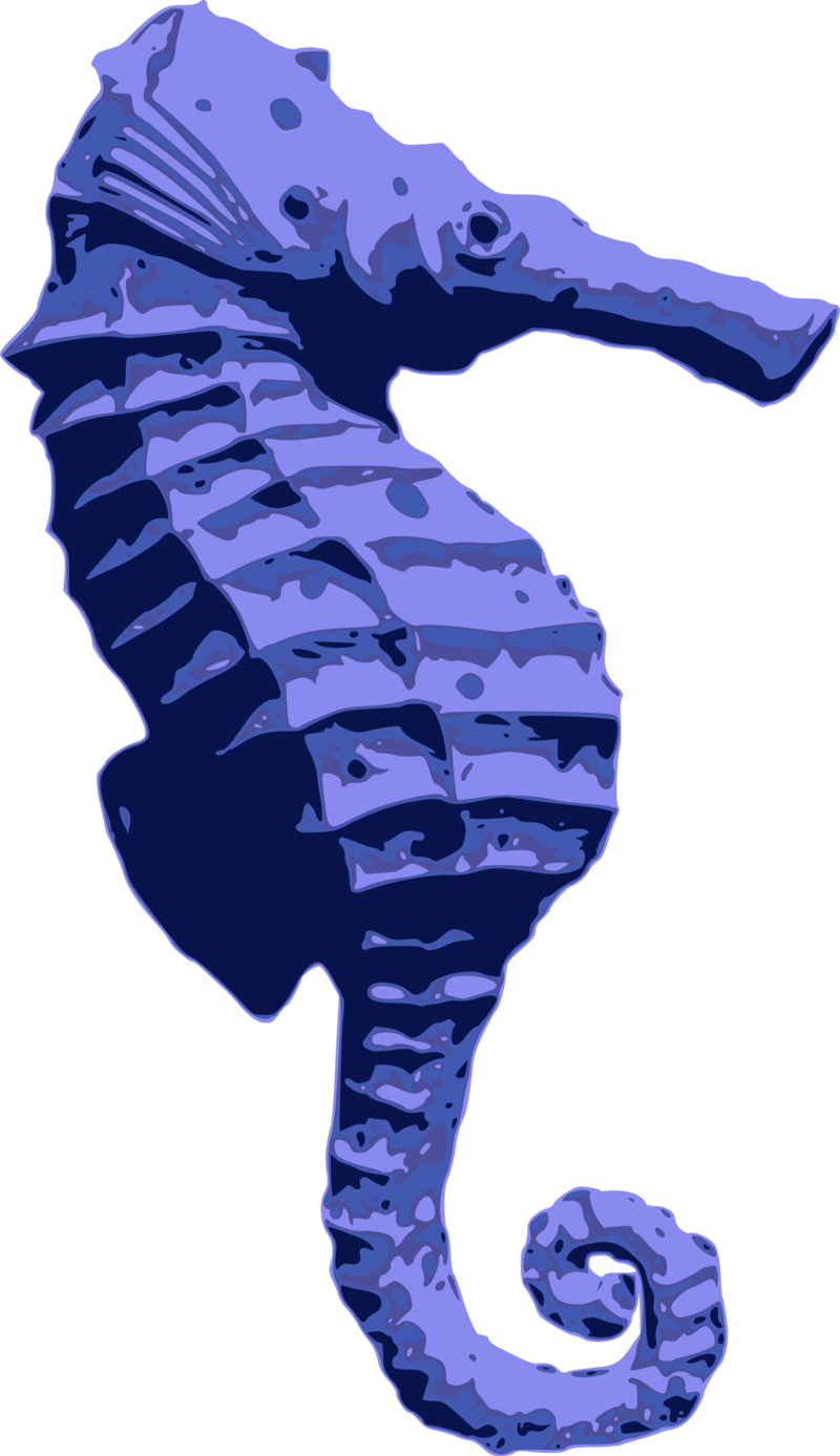 Blue Seahorse Illustration