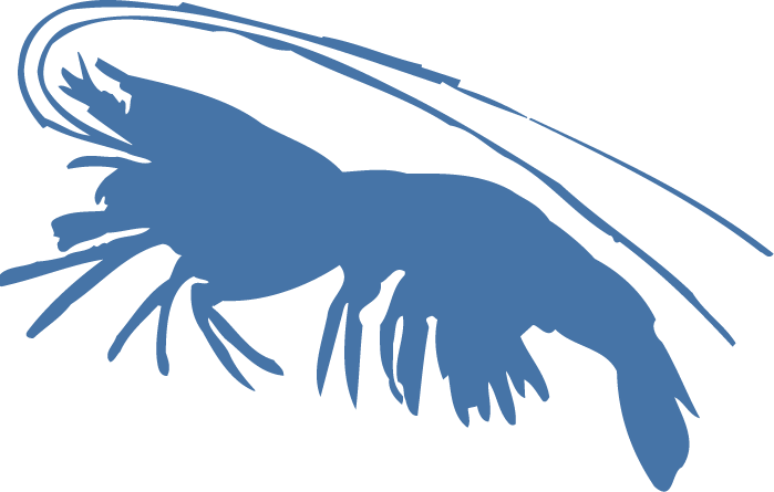 Blue Shrimp Silhouette