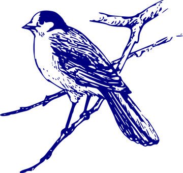 Blue Silhouette Birdon Branch PNG with transparent background