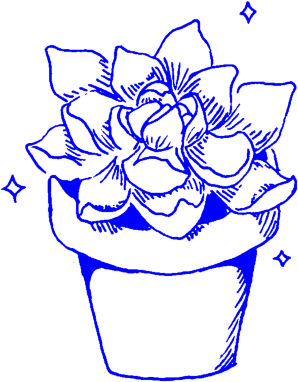 Aesthetic Succulent Succulents Cactus Cacti Plant Plant - Plant Aesthetic Stickers On Transparent Background, HD Png Download PNG with transparent background