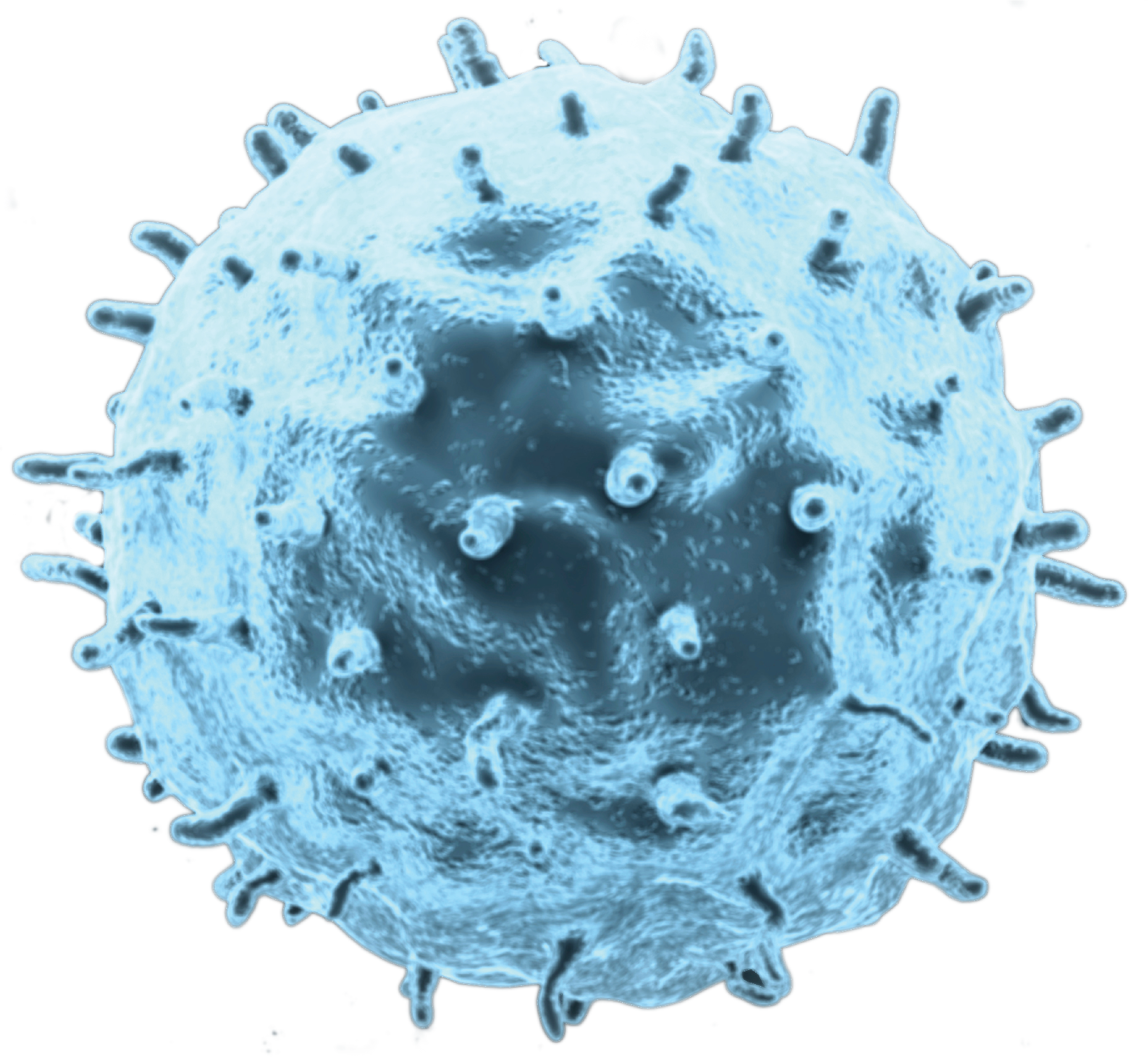 Cancer Cell Transparent, HD Png Download PNG with transparent background