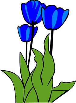 Blue Tulips Vector Art PNG with transparent background