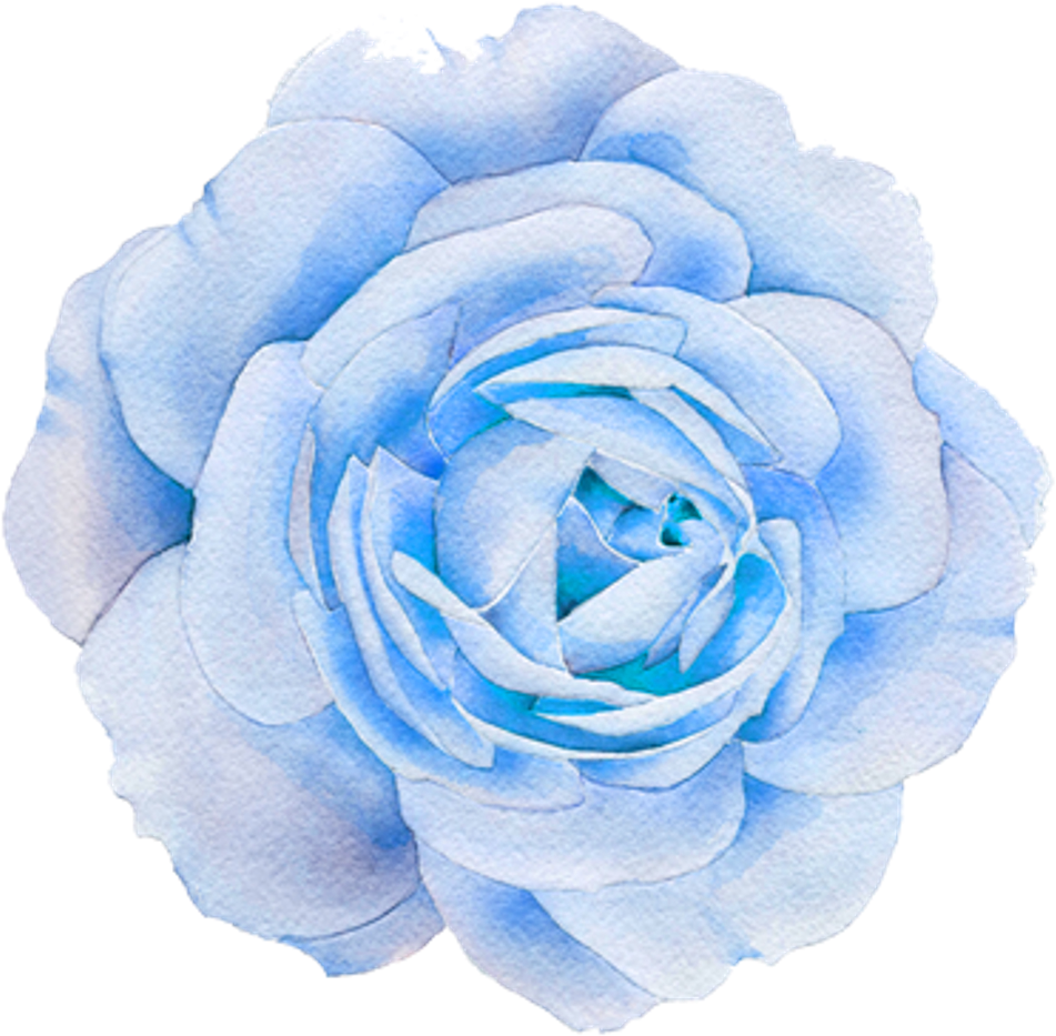 Blue Watercolor Rose