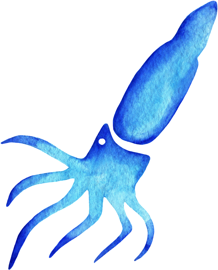 Watercolor Squid Clipart , Png Download - Watercolor Squid Transparent, Png Download PNG image with a transparent background, free high-resolution download
