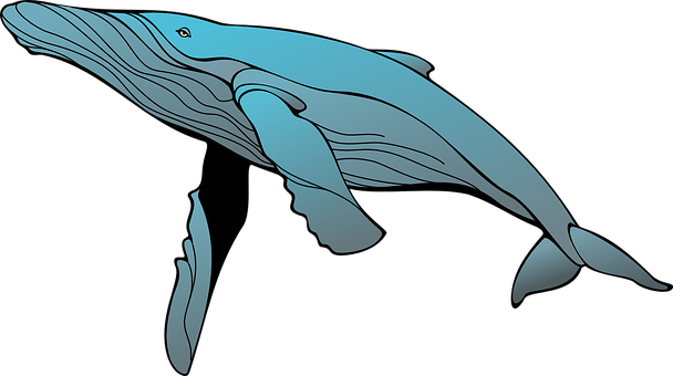 Blue Whale Illustration PNG with transparent background