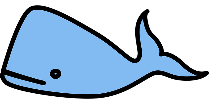 Blue Whale Vector Illustration PNG with transparent background