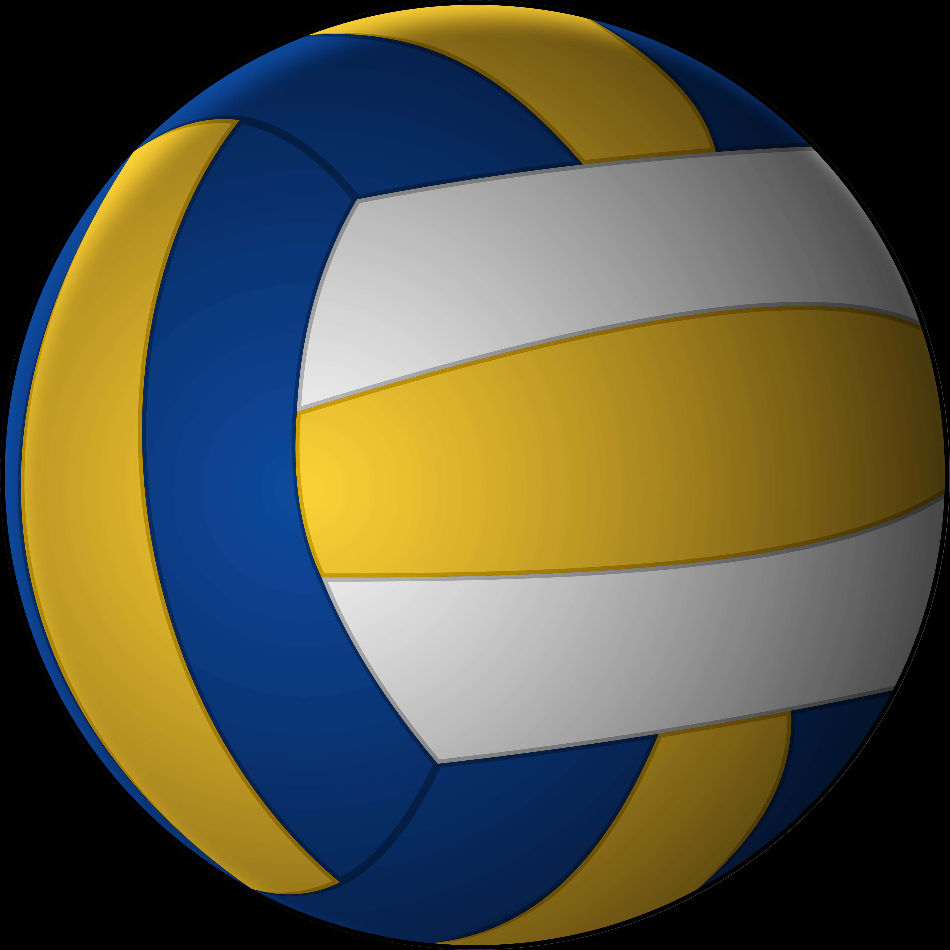 Blueand Yellow Volleyball