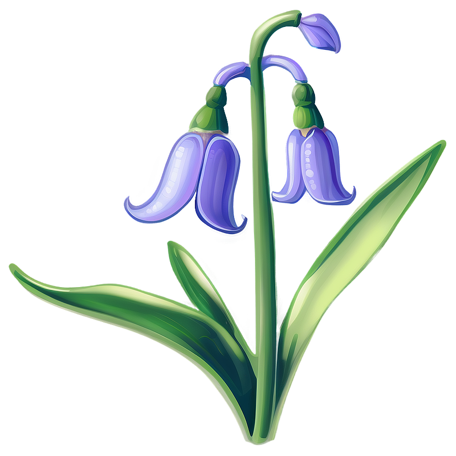 Bluebell Flower Transparent Png Idc89