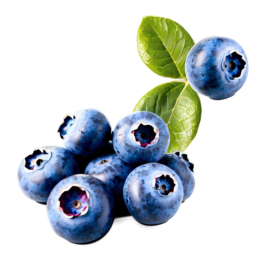 Blueberries Art Png 59