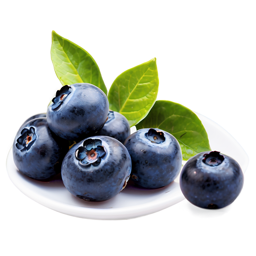 Blueberries With Leaves Png 7