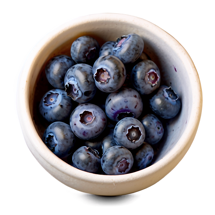 Blueberry Artisanal Preparation Png 05212024