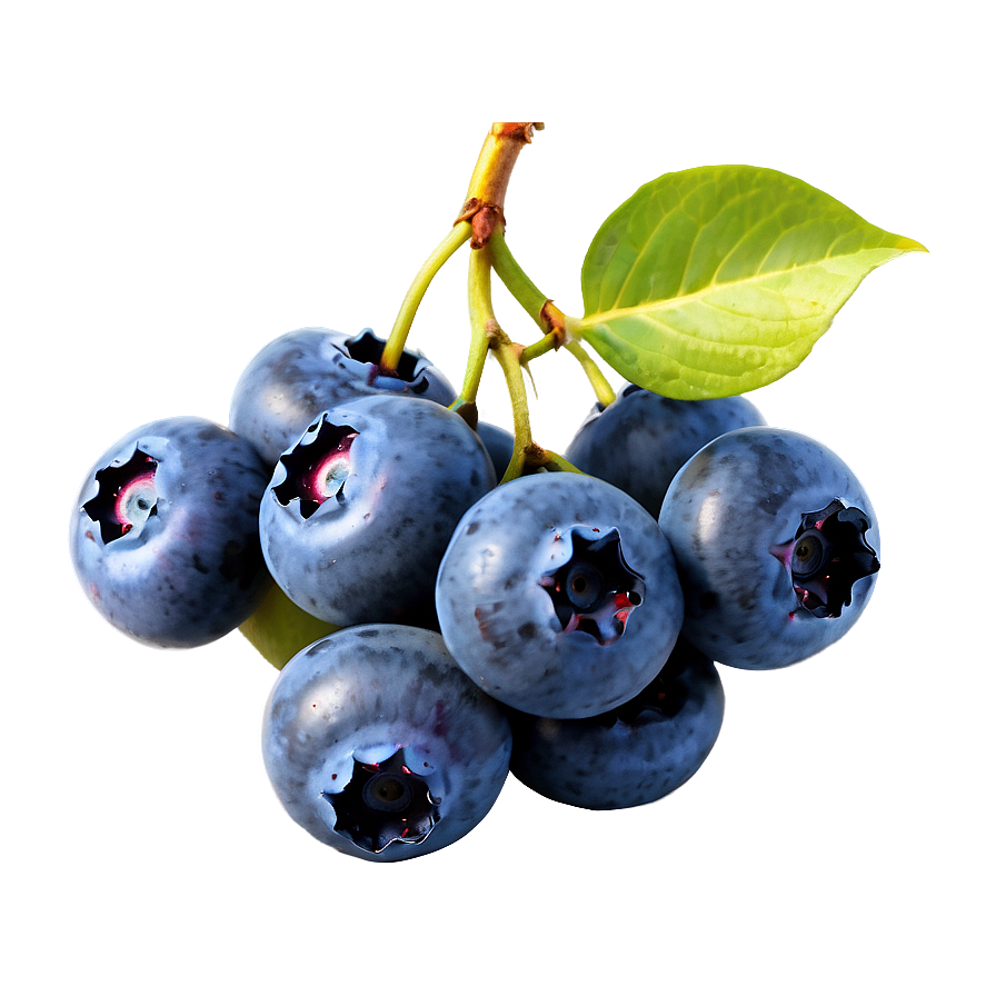 Blueberry Bunch Png 05242024