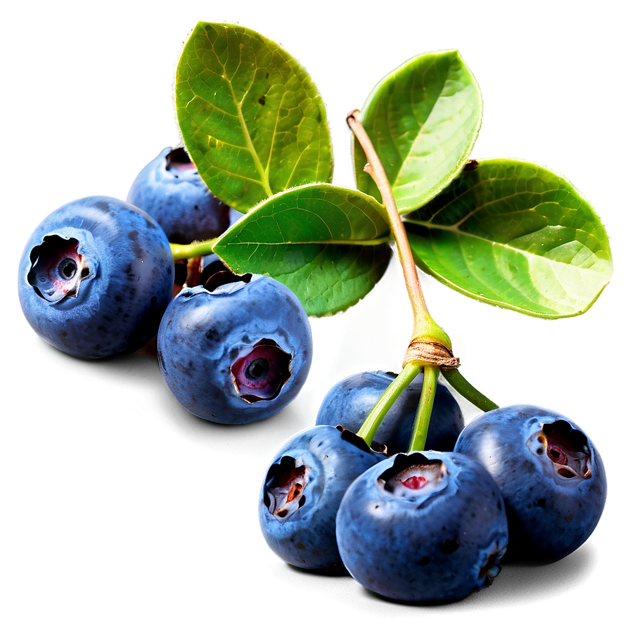 Blueberry Bunch Png Eol59