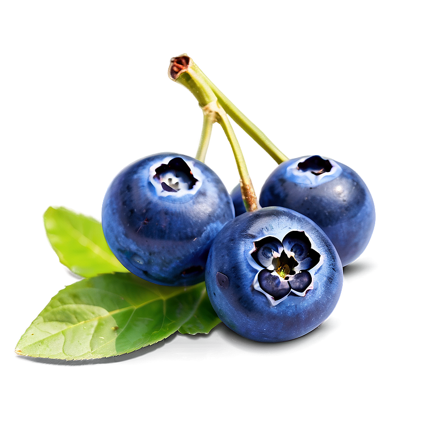 Blueberry Culinary Decoration Png 05212024