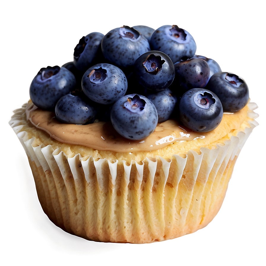 Blueberry Cupcake PNG 20 PNG with transparent background