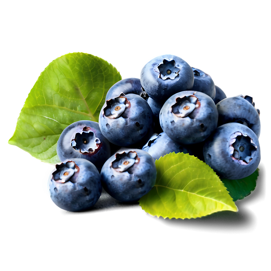 Blueberry Field PNG 05242024 PNG with transparent background