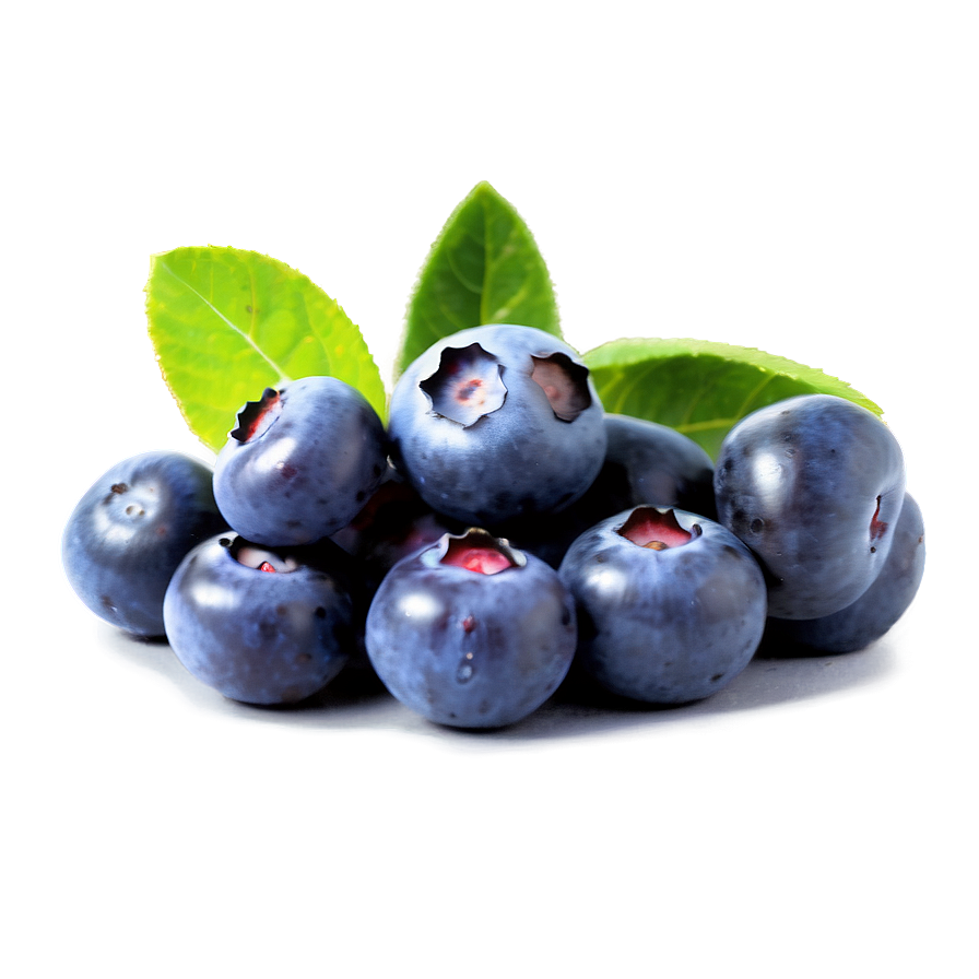 Blueberry Field PNG 15 PNG with transparent background