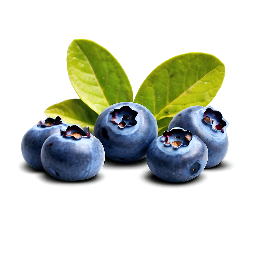 Blueberry Fruit Png Suo86