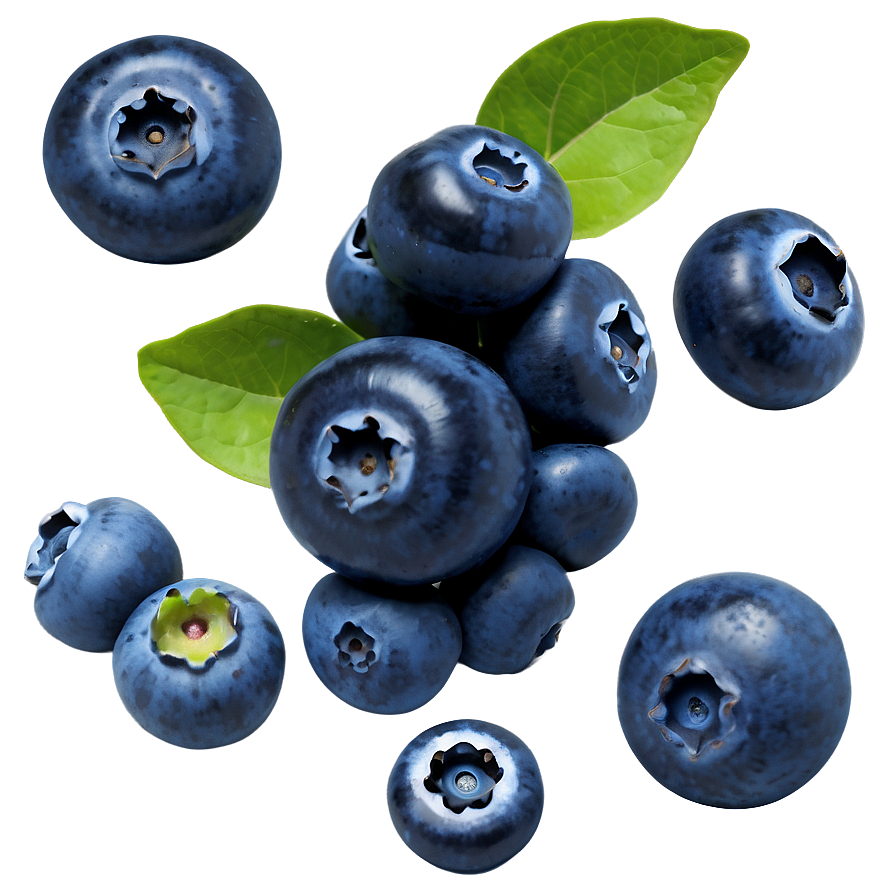 Blueberry Isolated PNG 2 PNG with transparent background