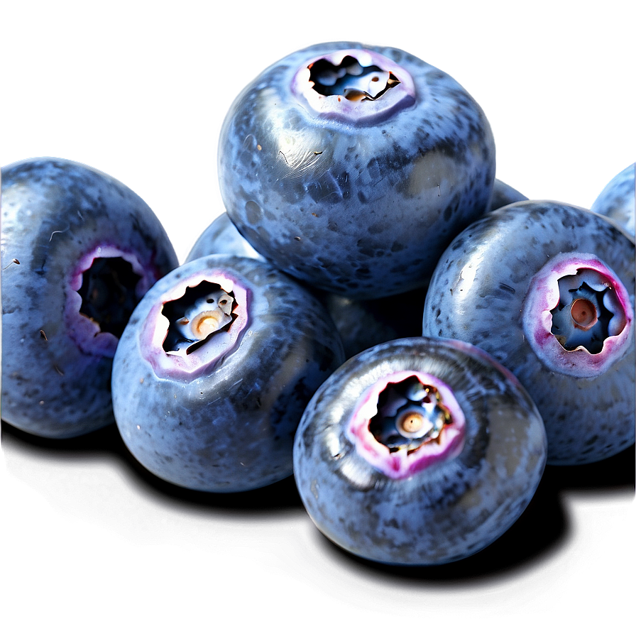 Blueberry Isolated PNG qsg2 PNG with transparent background