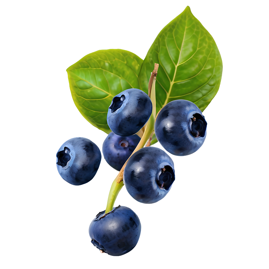 Blueberry Mix Png 05242024