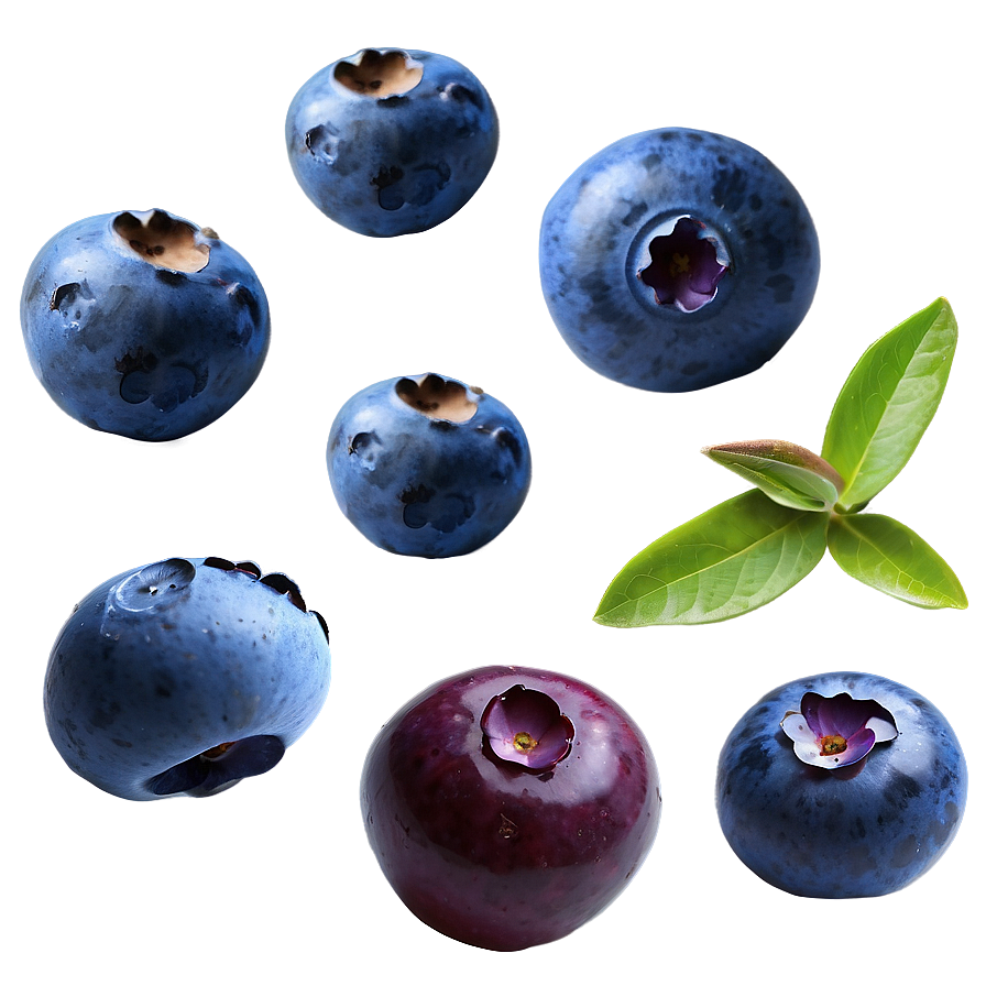 Blueberry Mix Png 21