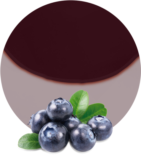 Transparent Background Blueberry Transparent, HD Png Download PNG with transparent background