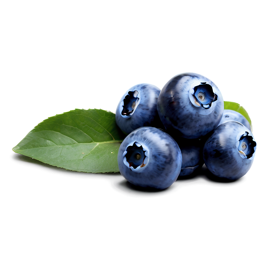 Blueberry Photography Png Ndp10