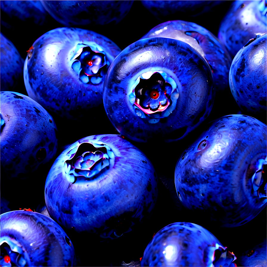 Blueberry Pile PNG dyr33 PNG with transparent background