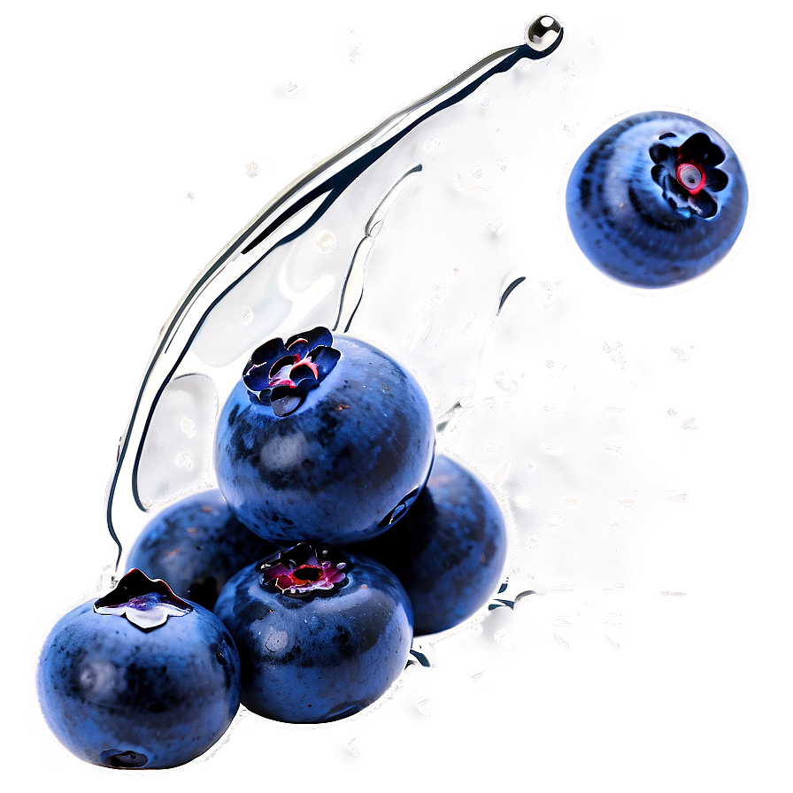 Blueberry Splash PNG qsu PNG with transparent background