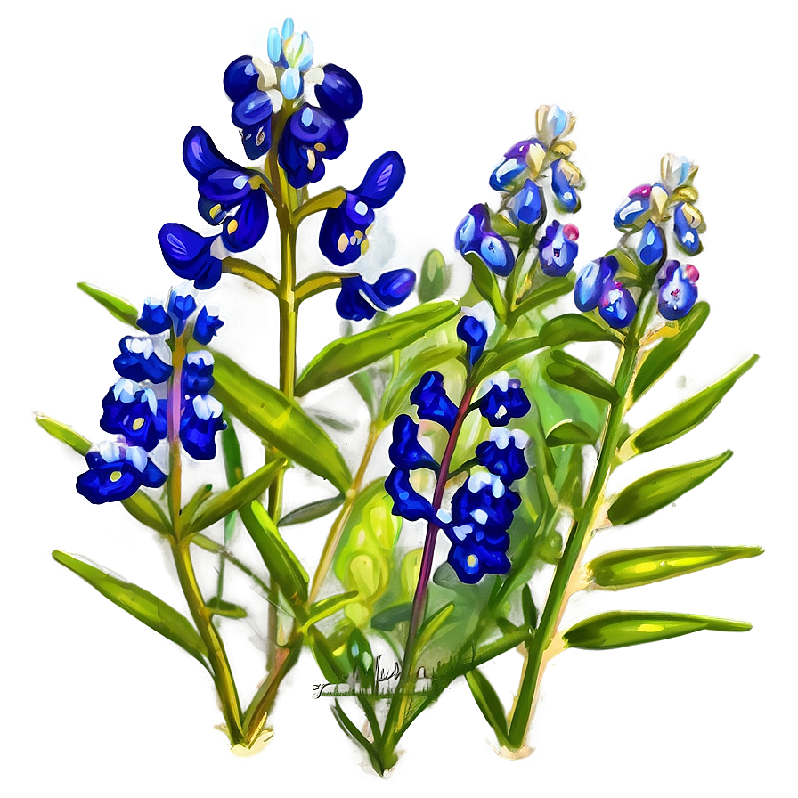 Bluebonnet Country Road Png 06272024