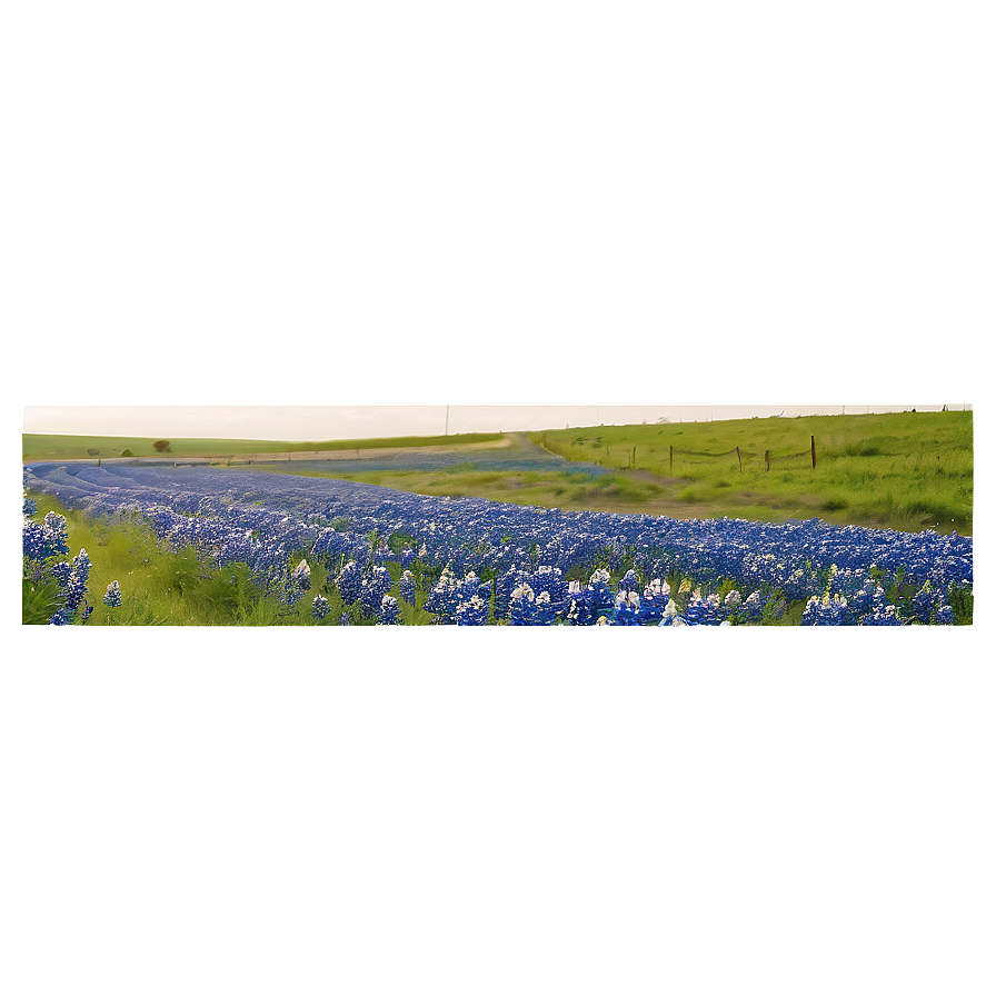 Bluebonnet Country Road Png Ktb