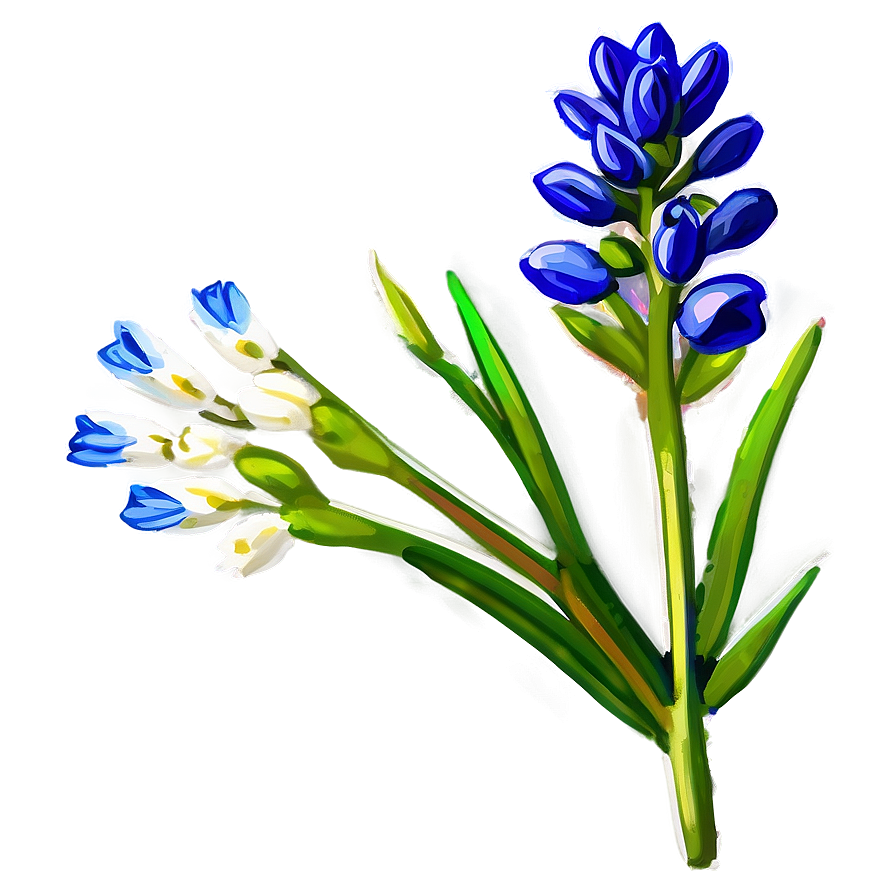 Bluebonnet Floral Pattern Png 06272024