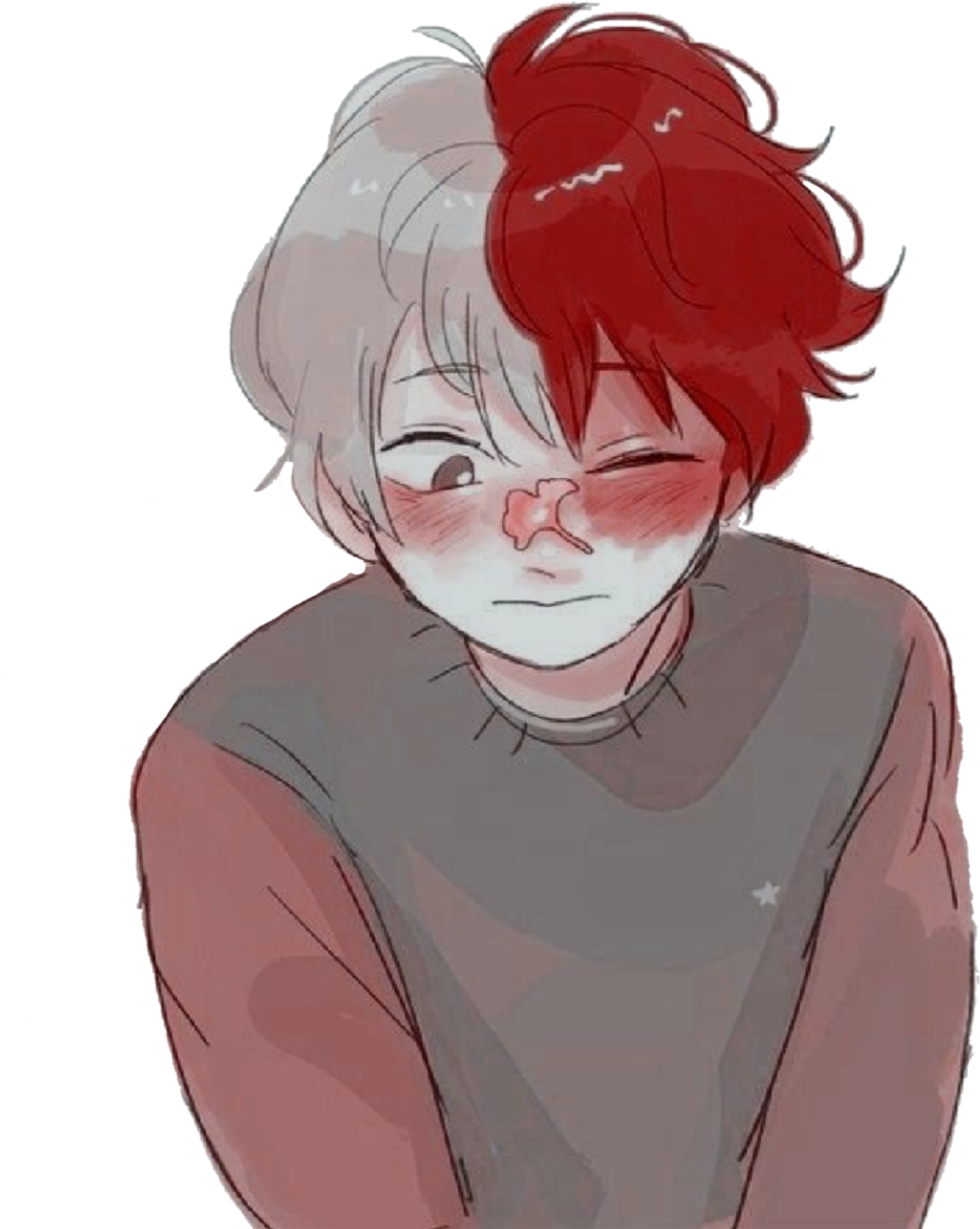 #bnha #myheroacacademia #bnhashoto #shoto #todoroki - Cute Pics Of Todoroki, HD Png Download PNG with transparent background