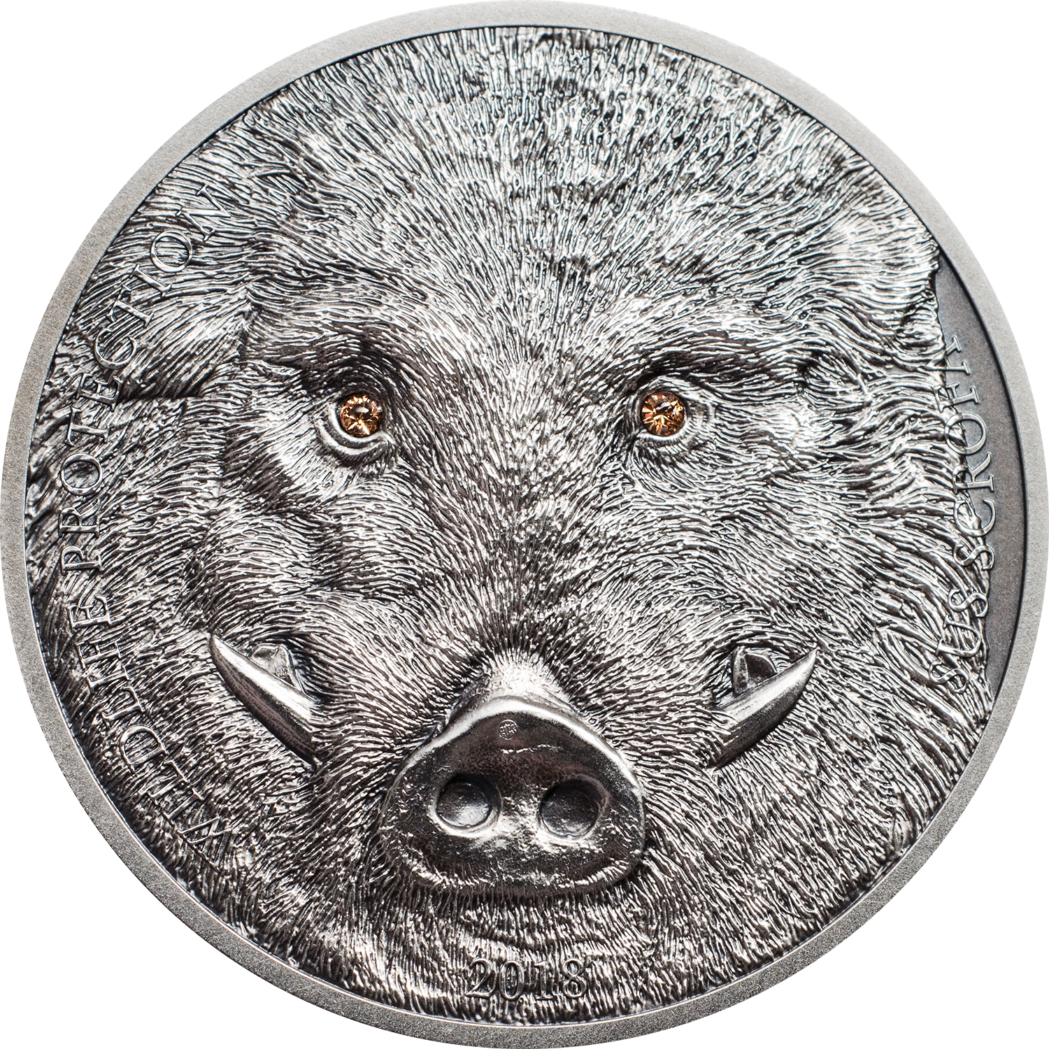Boar Engraved Coin2018 PNG image with a transparent background, free high-resolution download